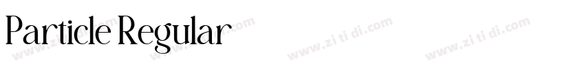 Particle Regular字体转换 Particle Regular字体转换